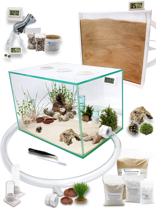 Ameisenkomplettset XL-N Ameisenfarm S7 + Ameisen