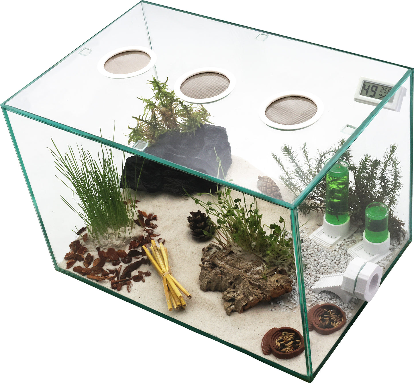Ameisenkomplettset XXL-N2 Ameisenfarm S9 + Ameisen