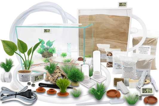 Ameisenkomplettset XXL-D Ameisenfarm S7 + Ameisen