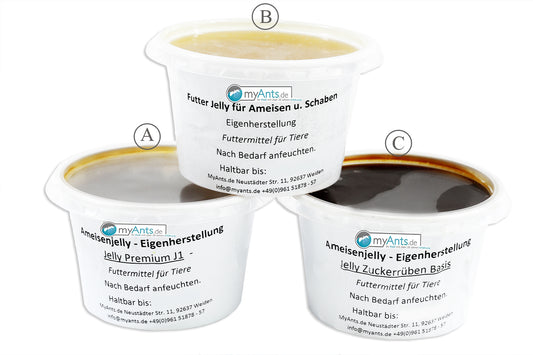 Ameisen Jelly - Ameisenfutter